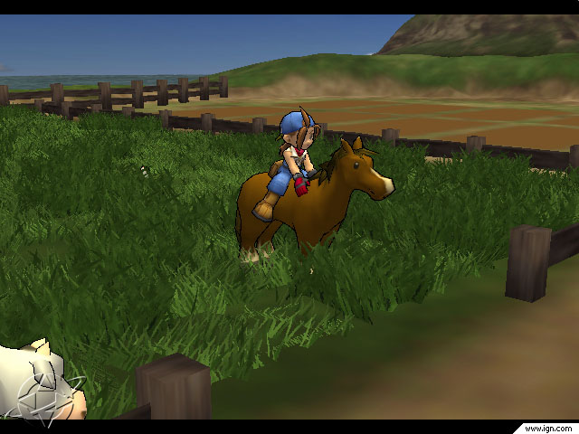 Harvest%20Moon%20-%20Save%20the%20Homeland%206.jpg